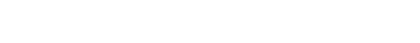 Logo Naughty America